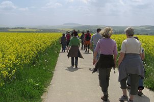 Weinhaus Römer - Bad Karlshafen - Geführte Wanderung