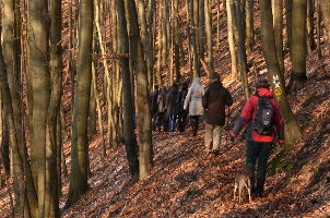 Weinhaus Römer - Bad Karlshafen - Winterwanderung